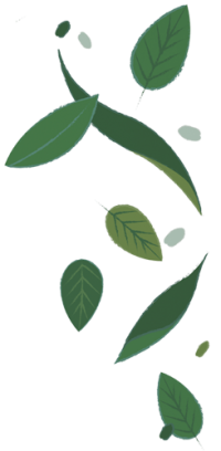 bg-leaves-right